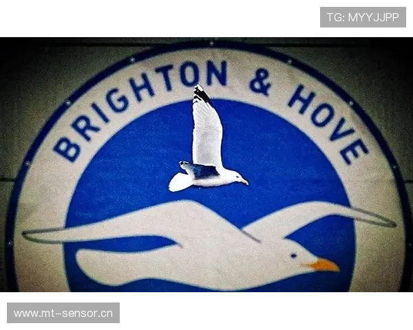 海鸥展翅：英超新赛季布莱顿表现稳健，迎接挑战与机遇