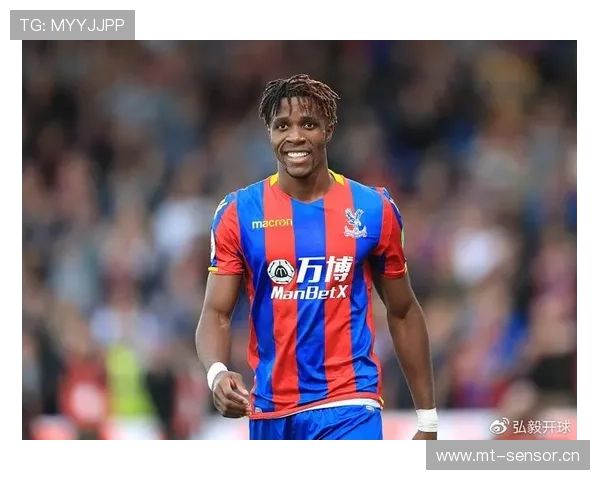 布莱顿本赛季数据分析：攻防表现稳健，竞争力持续提升